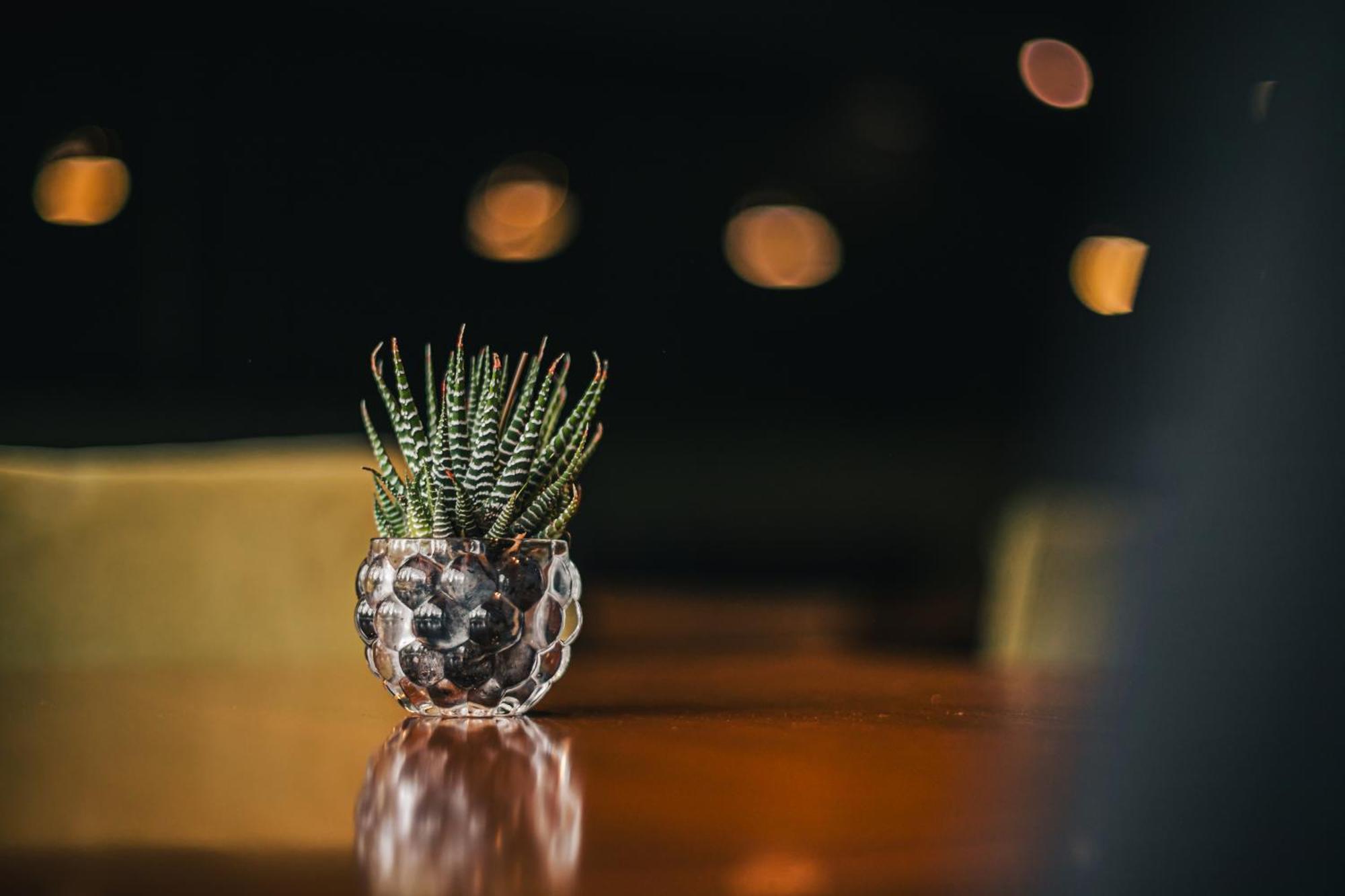 Portal Plaza Suites 멘도사 외부 사진